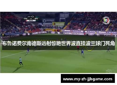 布鲁诺费尔南德斯远射惊艳世界波直挂波兰球门死角